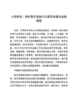 心得体会：做好数字金融大文章加快建设金融强国.docx