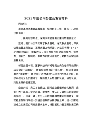 2023年度公司务虚会发言材料.docx