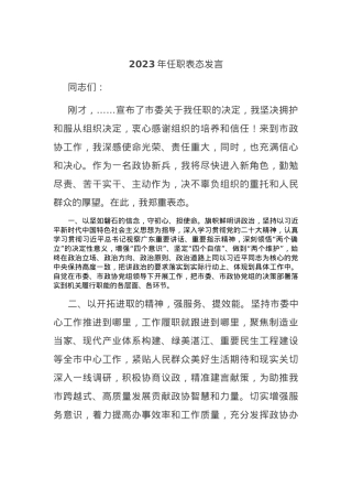 2023年任职表态发言.docx