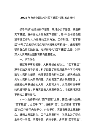 2023年市府办副主任“四下基层”研讨发言材料.docx