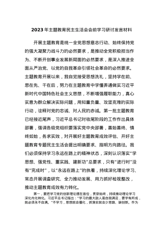 2023年主题教育民主生活会会前学习研讨发言材料 (2).docx