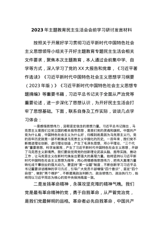2023年主题教育民主生活会会前学习研讨发言材料.docx