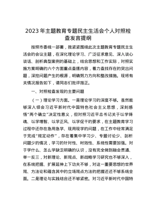 2023年主题教育专题民主生活会个人对照检查发言提纲.docx