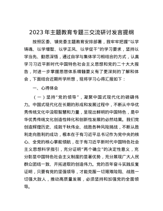 2023年主题教育专题三交流研讨发言提纲.docx