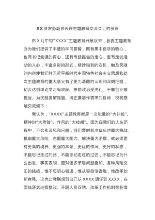 XX县常务副县长在主题教育交流会上的发言.docx