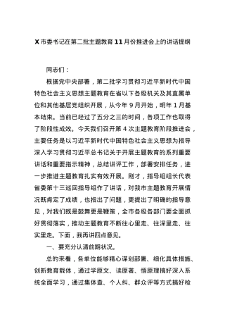 X市委书记在第二批主题教育11月份推进会上的讲话提纲.docx