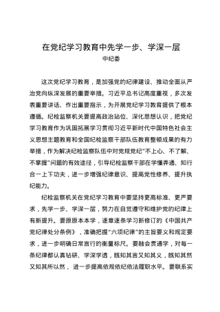 党纪学习教育∣04党委会议讲话：中纪委党组贯彻落实意见.docx