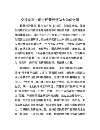 交流发言：促进民营经济做大做优做强.docx