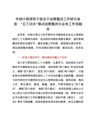 市统计局领导干部关于巡察整改工作研讨发言：“五下功夫”推动巡察整改与业务工作双融合.docx