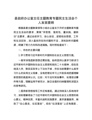 县政府办公室主任主题教育专题民主生活会个人发言提纲.docx