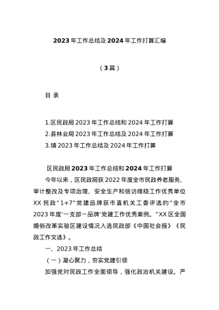 (3篇)2023年工作总结及2024年工作打算汇编.docx