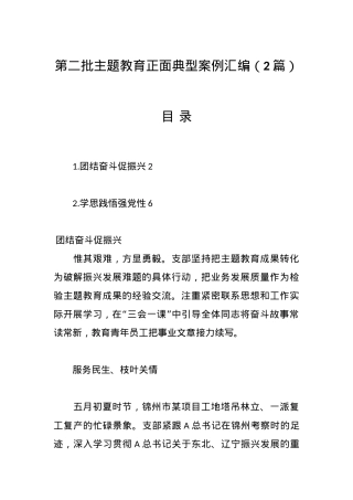 （2篇）第二批主题教育正面典型案例汇编.docx