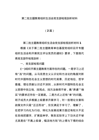 (2篇)第二批主题教育组织生活会党支部检视剖析材料.docx