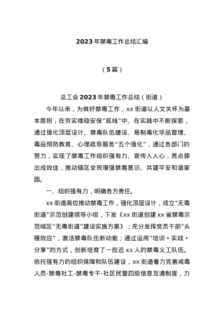 (5篇)2023年禁毒工作总结汇编.docx