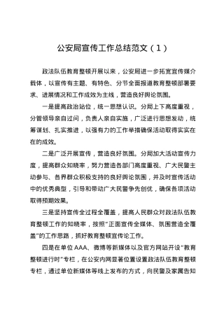 （6篇）公安局宣传工作总结范文.docx