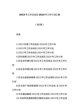 (12篇)2023年工作总结及2024年工作计划汇编.docx