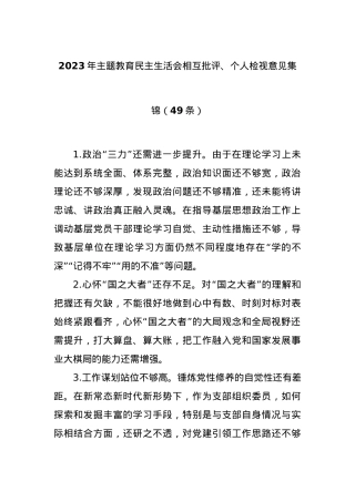 (49条)2023年主题教育民主生活会相互批评、个人检视意见集锦.docx