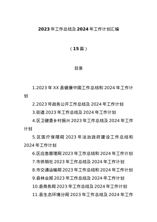 (15篇)2023年工作总结及2024年工作计划汇编.docx