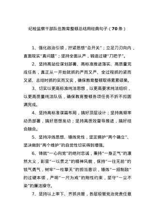 (70条)纪检监察干部队伍教育整顿总结用经典句子.docx