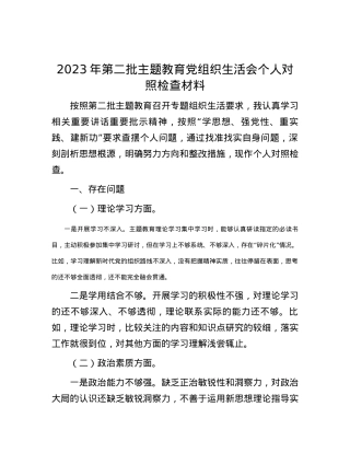 2023年第二批主题教育党组织生活会个人对照检查材料.docx