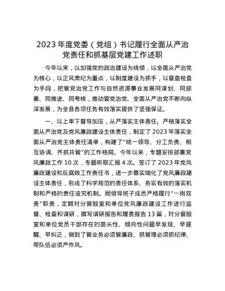 2023年度党委（党组）书记履行全面从严治党责任和抓基层党建工作述职.docx