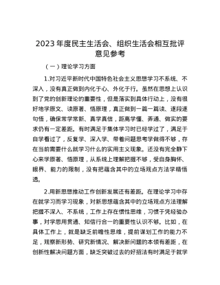 2023年度民主生活会、组织生活会相互批评意见参考.docx