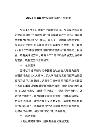 2023年XX县“宪法宣传周”工作方案.docx