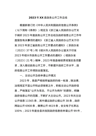 2023年XX县政务公开工作总结.docx