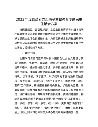 2023年度县政府党组班子主题教育专题民主生活会方案.docx