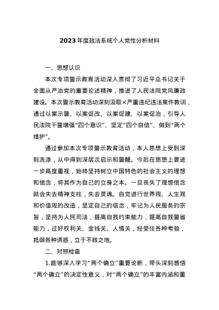 2023年度政法系统个人党性分析材料.docx