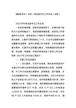 2023年村（社区）党支部书记工作总结（述职）.docx