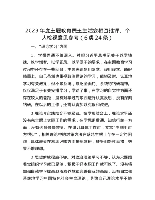2023年度主题教育民主生活会相互批评、个人检视意见参考（6类24条）.docx
