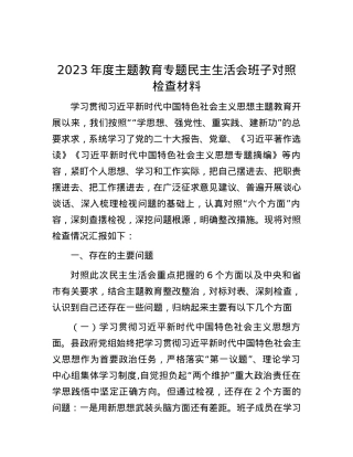 2023年度主题教育专题民主生活会班子对照检查材料.docx