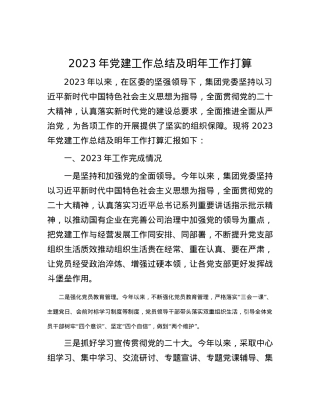 2023年党建工作总结及明年工作打算.docx