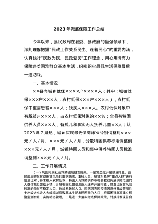 2023年兜底保障工作总结.docx
