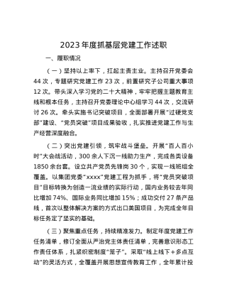 2023年度抓基层党建工作述职.docx