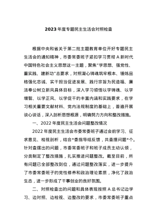 2023年度专题民主生活会对照检查.docx