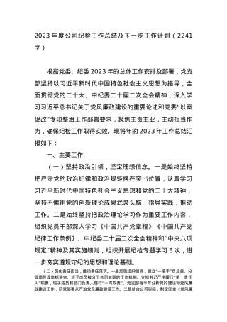 2023年度公司纪检工作总结及下一步工作计划.docx