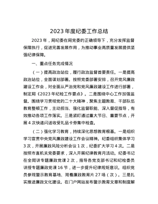 2023年度纪委工作总结.docx