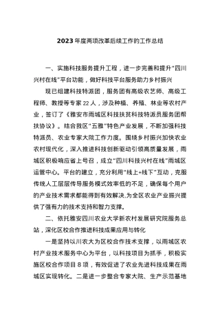 2023年度两项改革后续工作的工作总结.docx