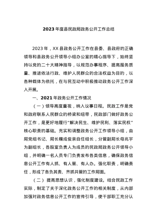 2023年度县民政局政务公开工作总结.docx