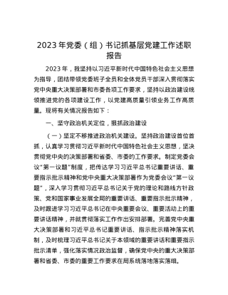 2023年党委（组）书记抓基层党建工作述职报告(1).docx