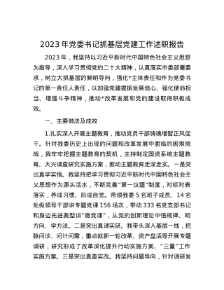 2023年党委书记抓基层党建工作述职报告.docx