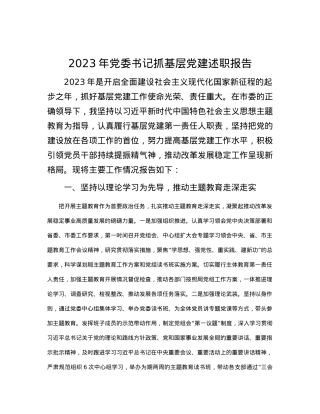 2023年党委书记抓基层党建述职报告.docx