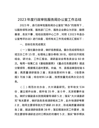 2023年度行政审批服务局办公室工作总结.docx