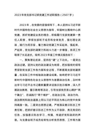 2023年党支部书记抓党建工作述职报告.docx