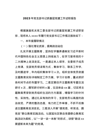 2023年党支部书记抓基层党建工作述职报告.docx