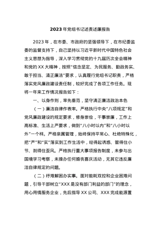 2023年党组书记述责述廉报告.docx