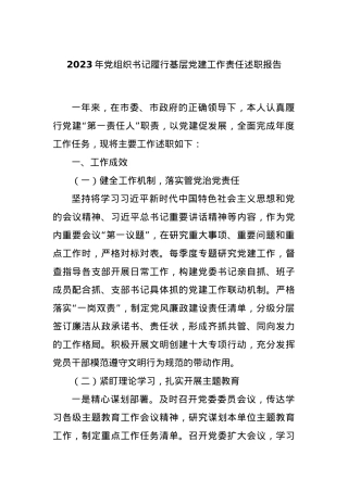 2023年党组织书记履行基层党建工作责任述职报告.docx