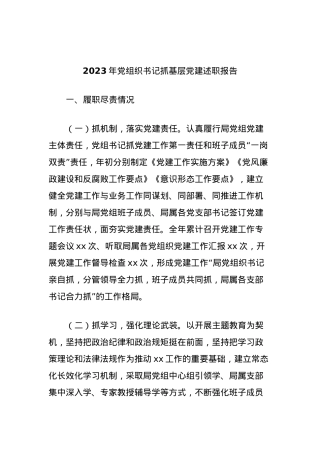 2023年党组织书记抓基层党建述职报告.docx
